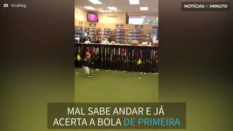 Bebê golfista acerta bola em uma tacada!