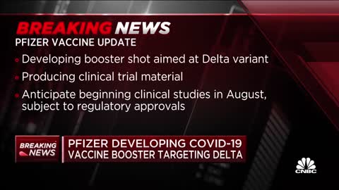 Pfizer Covid Vaccine Booster against Delta Variant