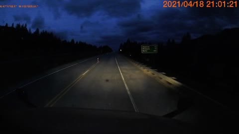 Near Miss as Deer Cross Precisely at Deer Crossing Sign