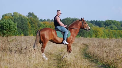 A strong man with a strong body in a black t-shirt and denim pants rides a horse