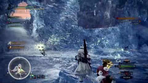 Gray Fails at MHW