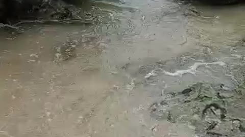 the beach with the beauty of the stones beside it