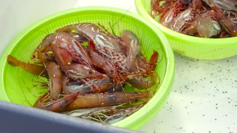 Person Catching Shrimps and Putting it on a Basket