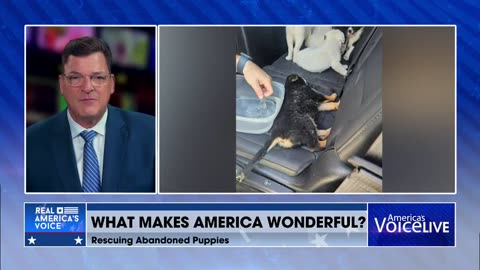 What Makes America Wonderful 🐶