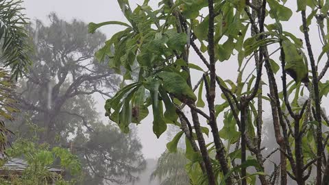 Relaxing Raining sound