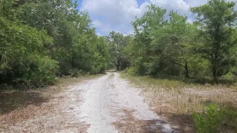 Halpata Tastanaki Preserve Hike in Central Florida near Ross Prairie State Park off CR 200 Part 1