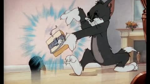 Funny video Tom and Jerry 🤣😂🤣