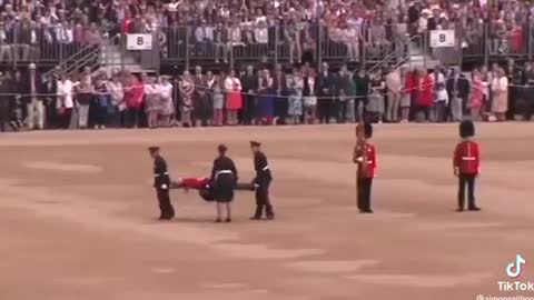 Guard Faints During Queen Elizabeth's Funeral