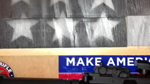 DIY American flag gun case