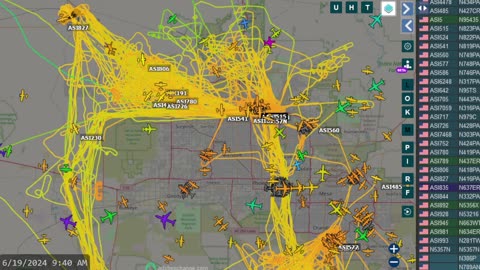 Bird Mafia China Invasion Arizona - Raw Data for June 19th 2024