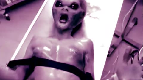 Alien at Area 51 ? 👽 UFO Whistleblower Aliens Recovered UAP UFO's TikTok Shorts