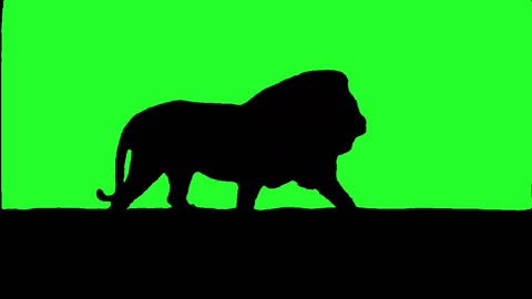 Lion King green screen effect