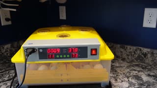 Chicken Egg Incubator Features