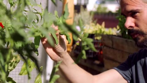 🌱💧 Hydroponics Vs. Soil: Nutritional Battle! 💪🍅