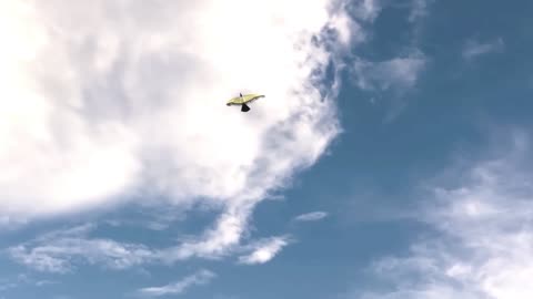 How to make a bird kite from paper and stick