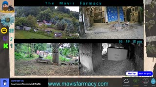 Life on Doc's Farm : Mavis Institute 🎵 🐓🦆🐝🐇🐖: Farmcore