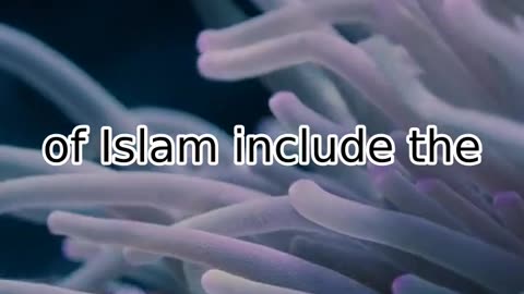 Discovering Islam: Understanding the Basics of this World Religion