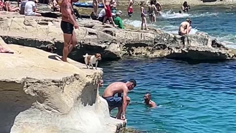 Dog Jumps To Swimming Owner's Arms