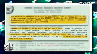 Dr. Chris Shoemaker: DARPA Knew Ivermectin & Hydroxychloroquine Worked To Treat The Wuhan Flu In 2015 - 12/13/22