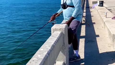 How to catch Spanish Mackerel at the Skyway in 60 secs