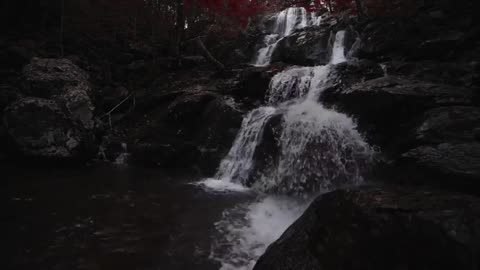 Forest Waterfall Ambience Sounds in Nature