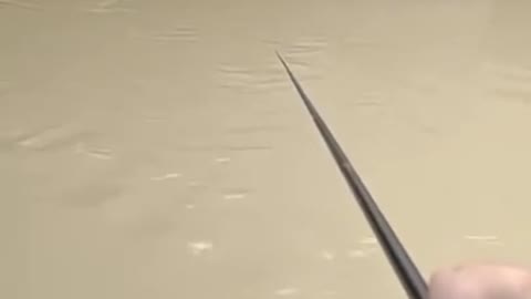 fishing video