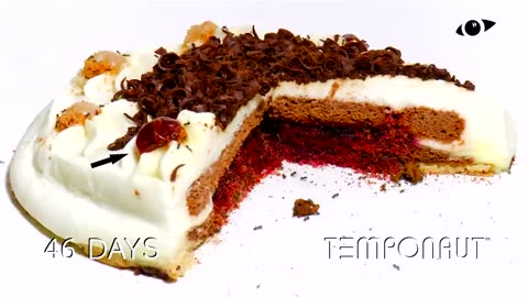 Time-Lapse Torte