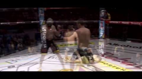 Top 20 exciting knockout in the history of Mma