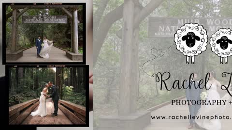 Rachel Levine Photography | 415-672-6023