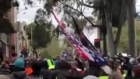 DT Flag Spotted In Australian J4b Freedom Rallies