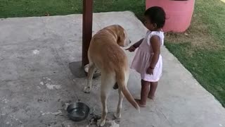 Strict baby makes sure dog finishes his food