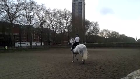 Policewoman training her horse in Knightsbridge, London. horse training