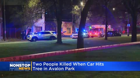 Two people killed when car hits tree in Avalon Park