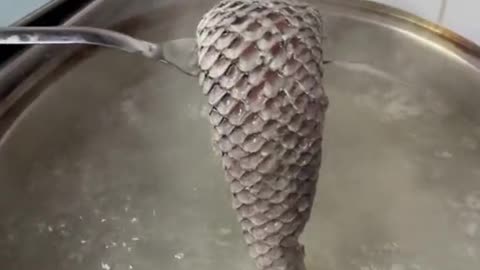Skin Fish for delicious Cook