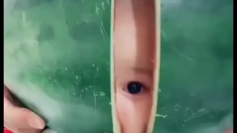 watermelon gives birth to cute baby