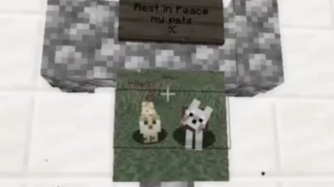 I made a Memorial for my Friend Part 2