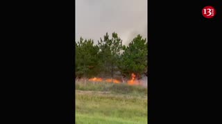 Authorities work to tame large wildfire raging in northeast Argentina