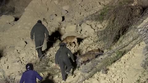 Several injured, cars trapped in Bolivia landslide