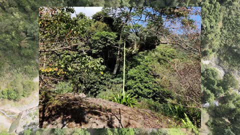 Shipangu Cliff Art Forest 石盤谷峭壁藝術林 🇹🇼 (2020-10) {aerial}