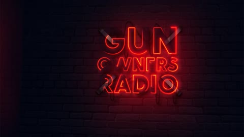 Episode: 330 Rhonda Mary, Gun Violence Listening Sessions, Dane White & more 2A Talk