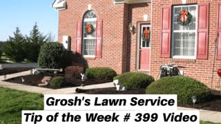 Mulching Hagerstown MD Landscaping Contractor Christmas Magic