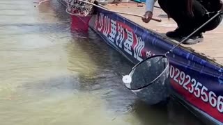 Best Asian Fishing Video 🐟 Weekend Fishing 🐟