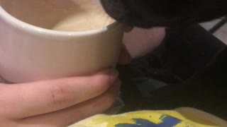 PUG WANTS COFFEE