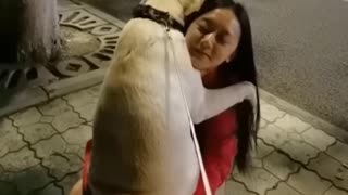 Funniest Videos 2022 😂 Funny Cats 🐱 and Dogs 🐶