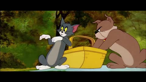Tom and Jerry Cartoon Funny video 🤣🤣