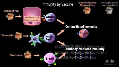 All Types of COVID-19 Vaccines, How They Work