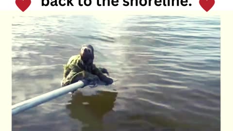 Boat captain rescues an animal, washed away in a flash flood. 💕 Love this!