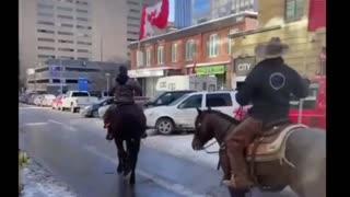 Protesters on horseback join the Freedom Convoy in Ottawa
