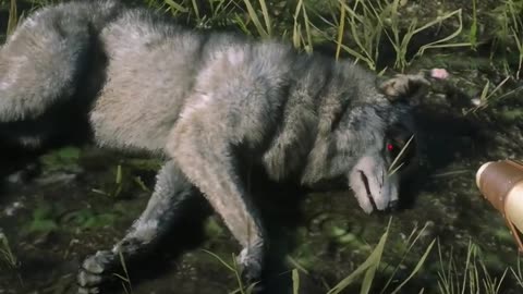 Rdr2 - This wolf was sick and dying #shorts
