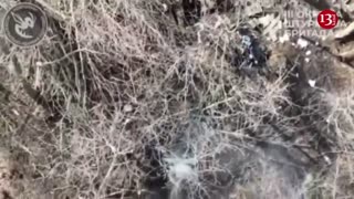 Ukrainian fighters from nest where they were hiding, was targeted by drone Courtesy Kanal13